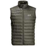 Jack Wolfskin Men's JWP Vest (2021)