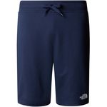 The North Face Men's Standard Light Shorts