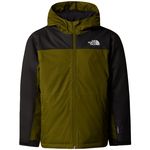 The North Face Boy's Freedom Insulated Jacket