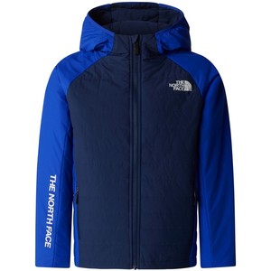 The North Face Boy's Never Stop Synthetic Jacket