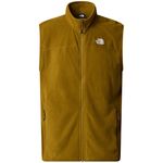 The North Face Men's 100 Glacier Vest