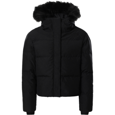 The North Face Girl's Printed Dealio City Jacket