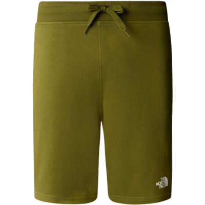 The North Face Men's Standard Light Shorts